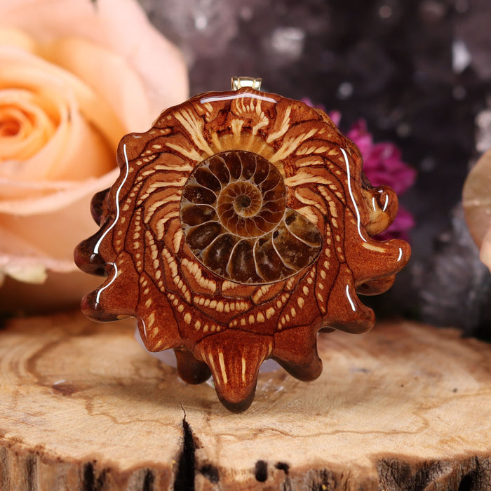 Ammonite