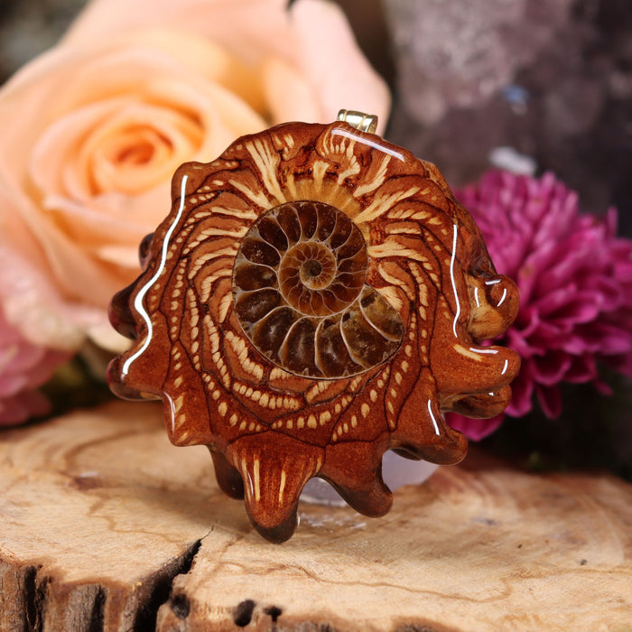 Ammonite