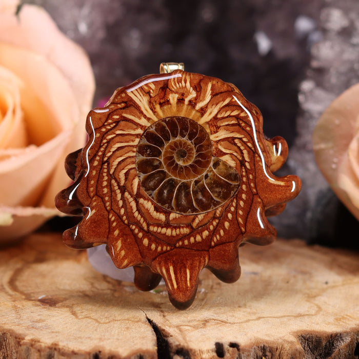 Ammonite