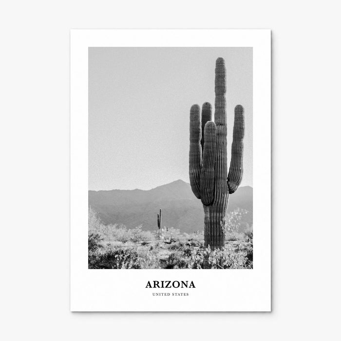 Arizona Classic No 1 Poster, print only (unframed)