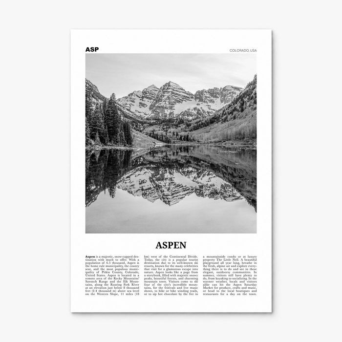 Aspen Newspaper Poster, print only (unframed)