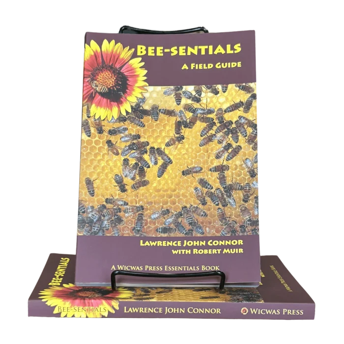Bee-sentials - Beginner Book