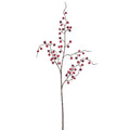 Berry Hanging Spray