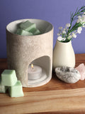 Chickpea Wax Melts | Coconut + Lime-Image 1