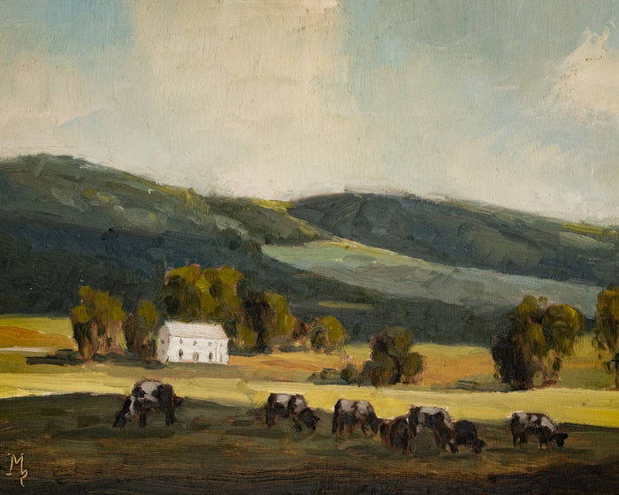 Cows In Shadow Print: 5x7