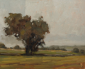 Minchinhampton Field Print: 8x10