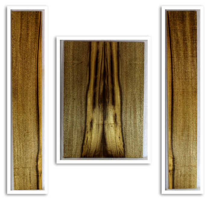 Myrtle Acoustic Guitar Back and Sides