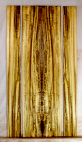 Myrtle Dulcimer Back and Sides (GB46)