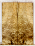 Myrtle Guitar Carve Top (FK57)