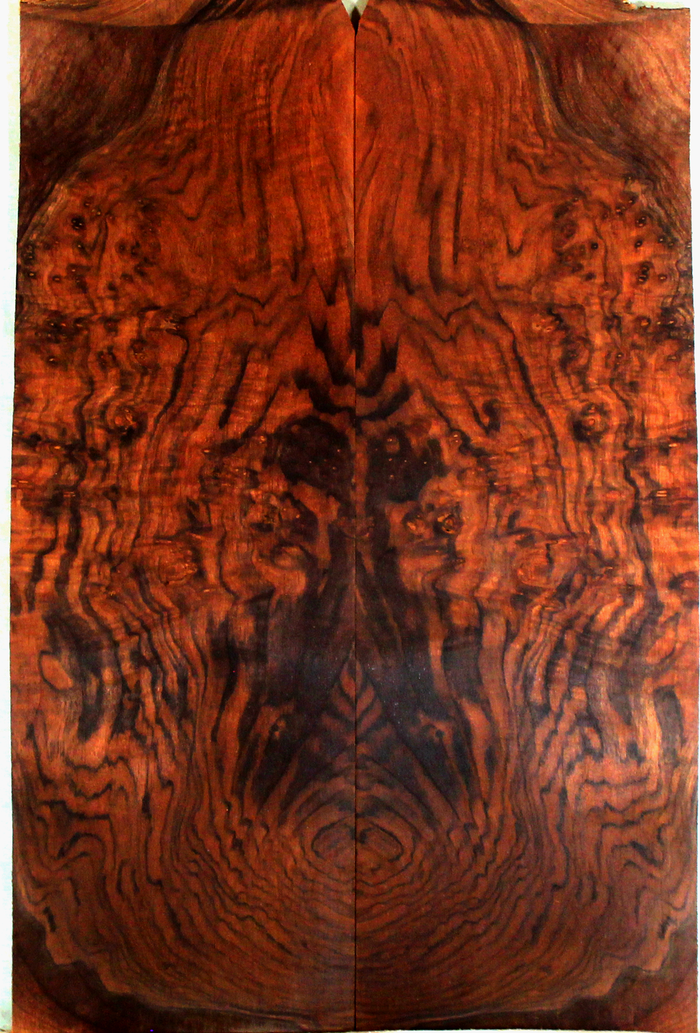 Claro Walnut Electric Guitar Drop Top