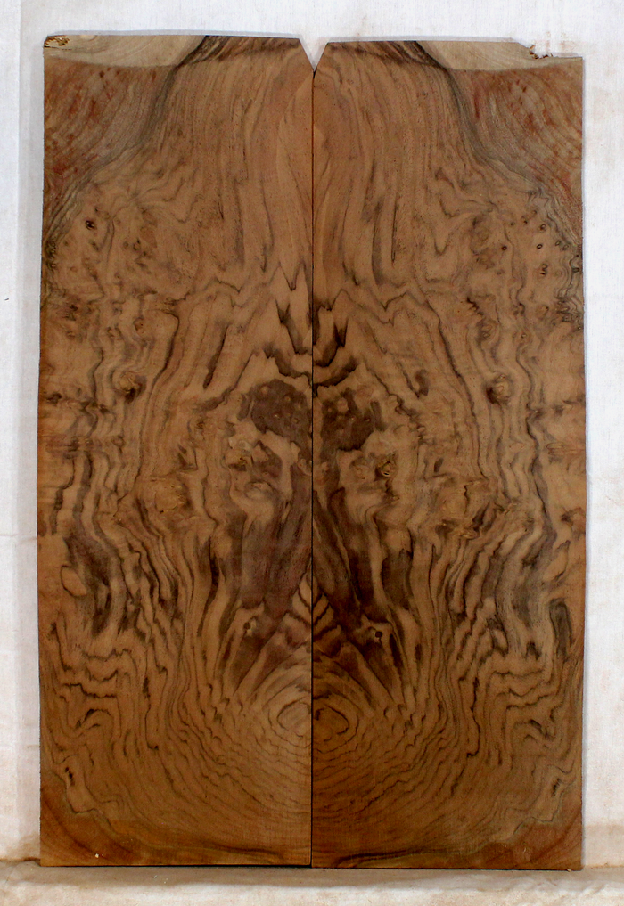Walnut Guitar Drop Top (BG66)