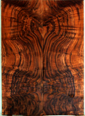 Claro Walnut Electric Guitar Drop Top