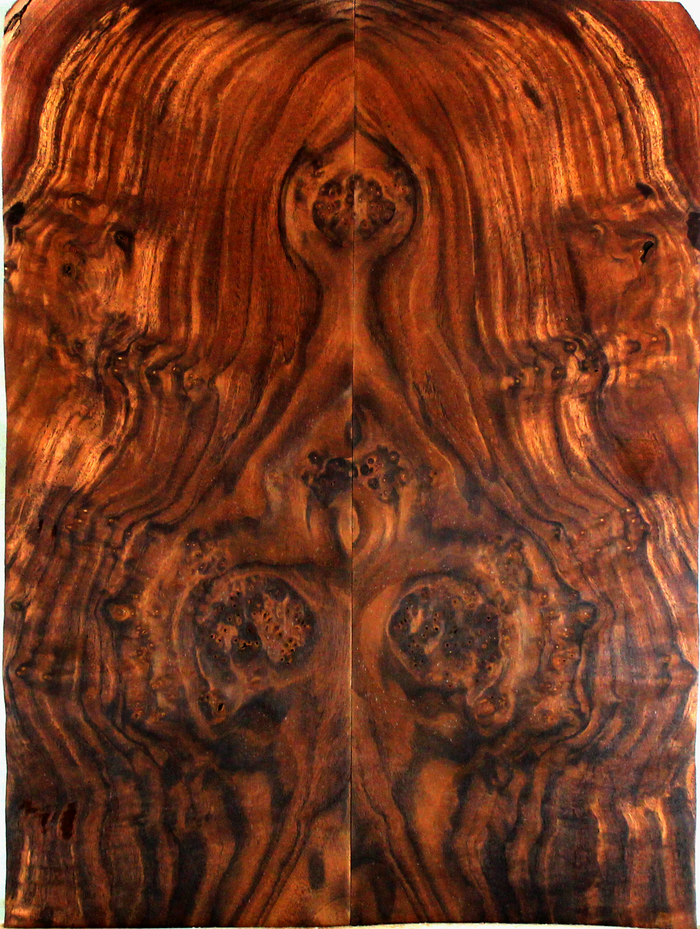 Claro Walnut Electric Guitar Drop Top