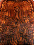 Claro Walnut Electric Guitar Drop Top