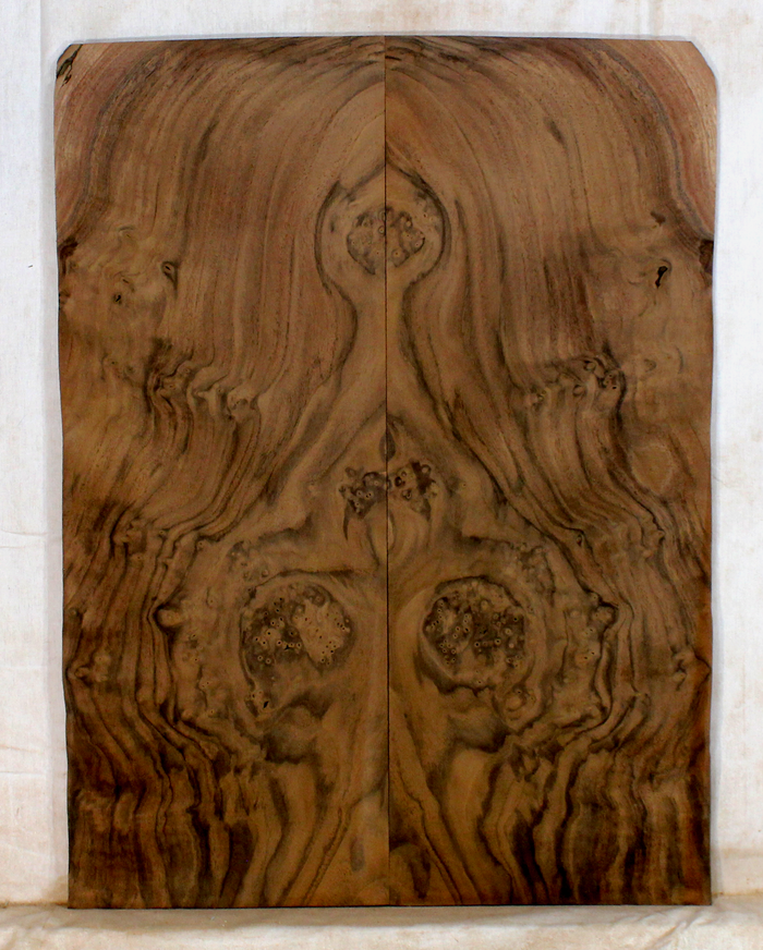 Walnut Guitar Drop Top (BG74)