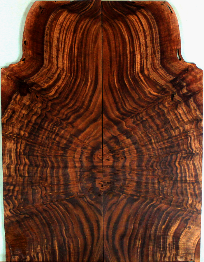 Claro Walnut Solid Body Electric Drop Top
