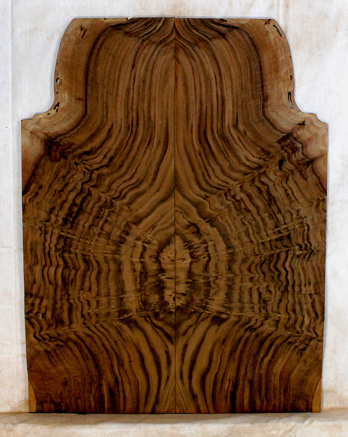 Walnut Guitar Drop Top (BG78)
