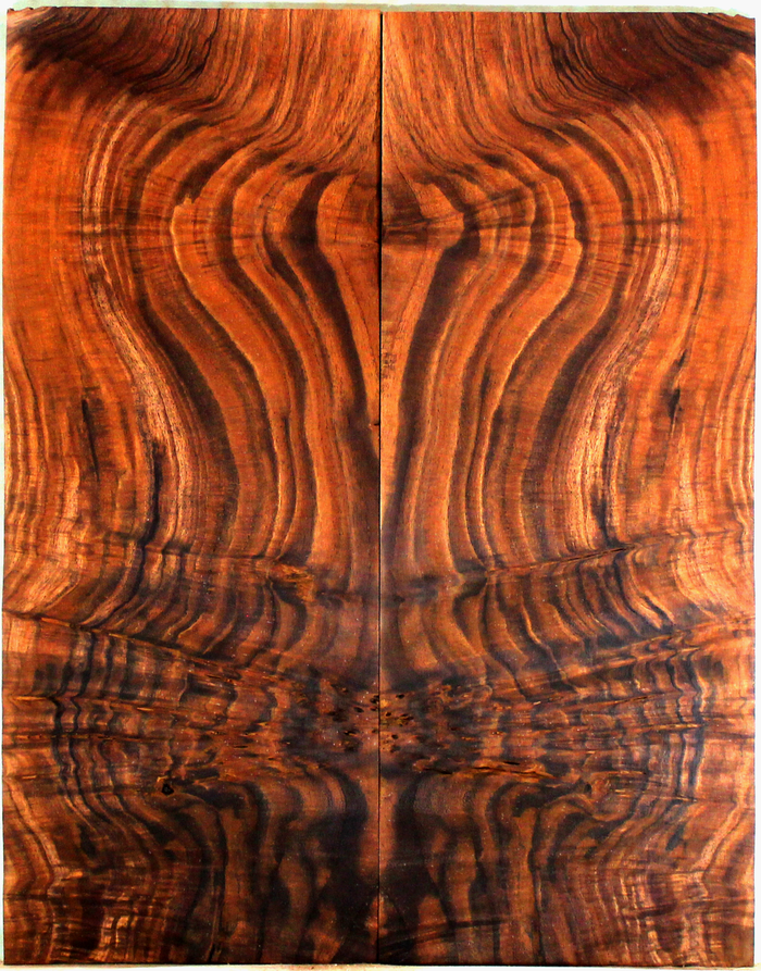 Claro Walnut Electric Guitar Drop Top