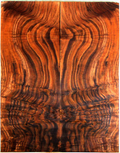 Claro Walnut Electric Guitar Drop Top