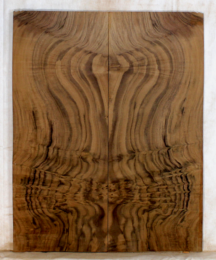 Walnut Guitar Drop Top (BG80)