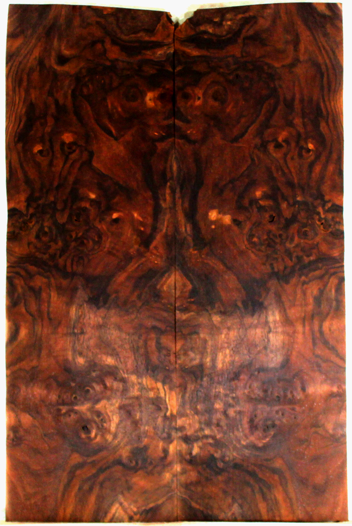 Claro Walnut Solid Body Electric Drop Top