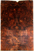 Claro Walnut Solid Body Electric Drop Top