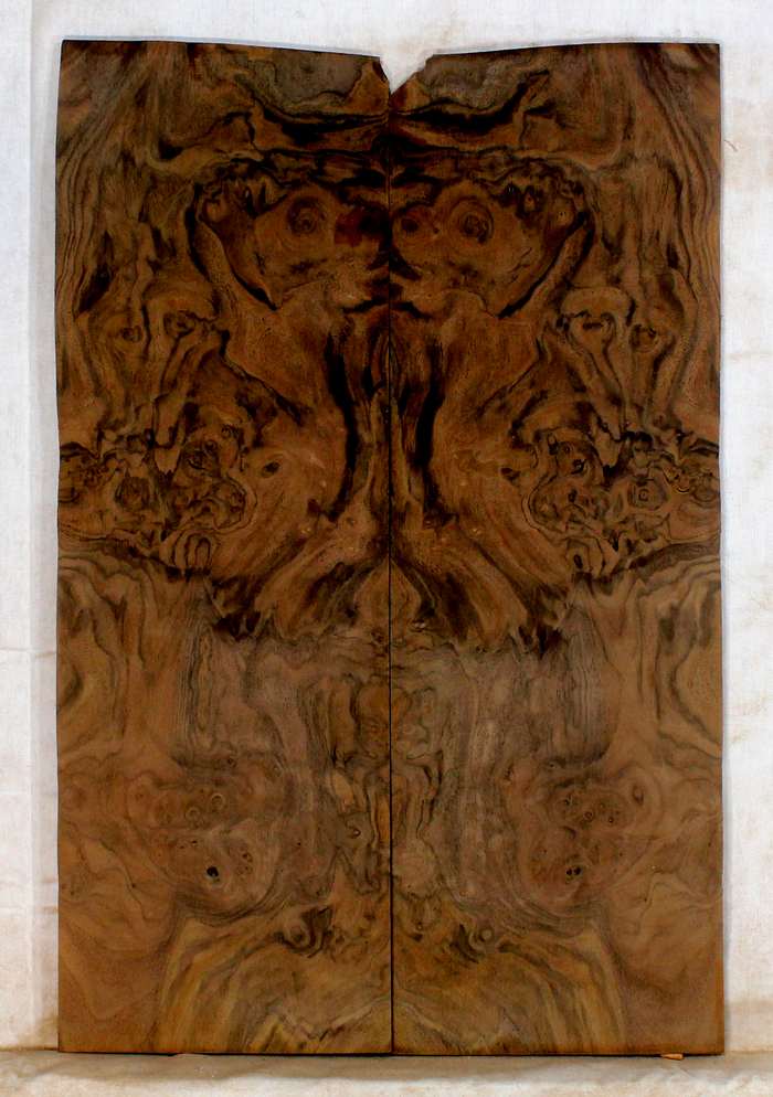 Walnut Guitar Drop Top (BG88)