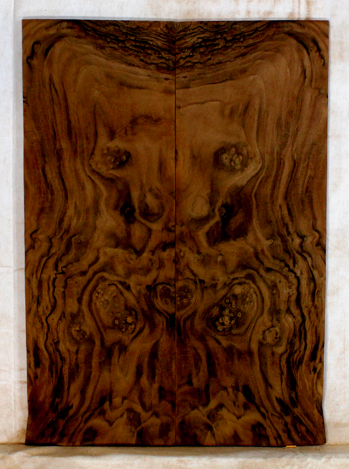 Walnut Guitar Drop Top (BG91)