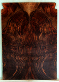 Claro Walnut Electric Guitar Solid Body Drop Top
