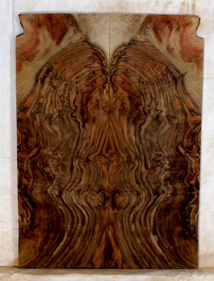 Walnut Guitar Drop Top (BG94)