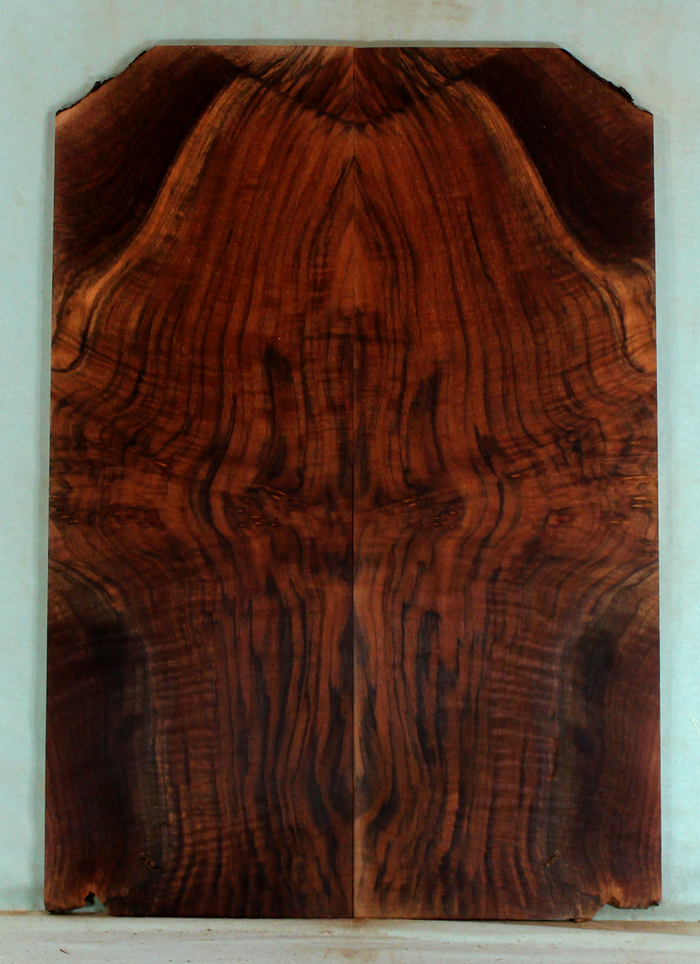 Claro Walnut Solid Body Electric Drop Top