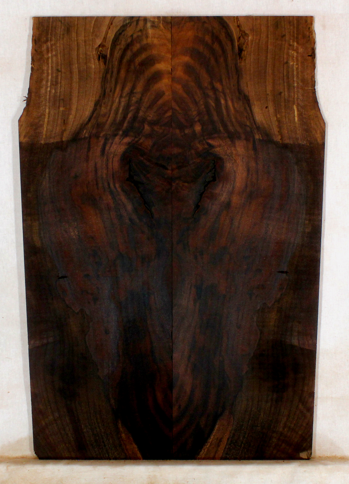 Walnut Guitar Drop Top (FL37)